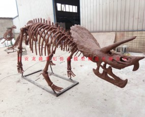 恐龙化石骨架  骨架制造