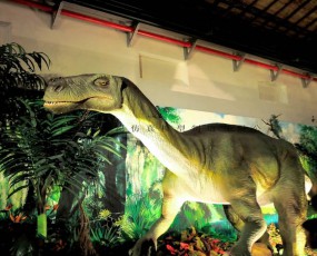 恐龙大百科之——来自中国的恐龙“禄丰龙”