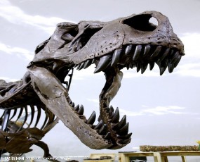 恐龙模型厂家_临汾恐龙谷项目策划