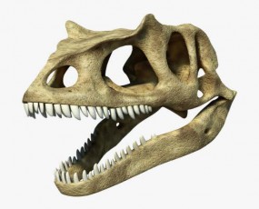 恐龙知识科普 | 恐龙牙齿之最