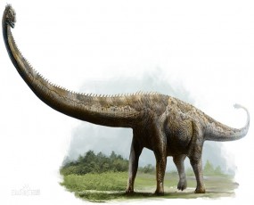 世界上最长的恐龙_合川马门溪龙